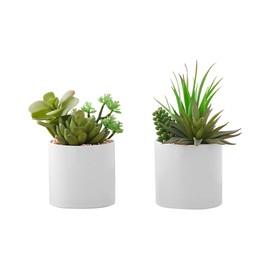 Udorich Artificial Succulent Plant Set of 2, 7" Tall with White Ceramic Pots for Indoor Decoration
