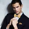 Medsuo Adjustable Bowtie, Men BowtiePre-Tied Bow Tie for Parties (Champagne)