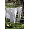 Zack 1041872 Bed Sheet, Extra Wide, Organic Quality, White, 180