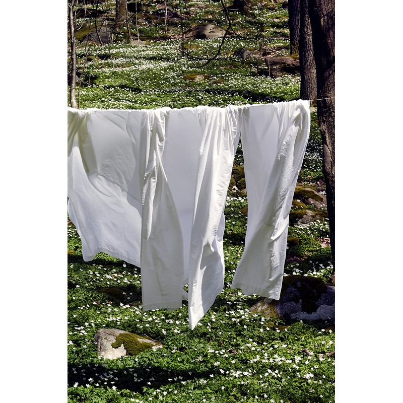 Zack 1041872 Bed Sheet, Extra Wide, Organic Quality, White, 180