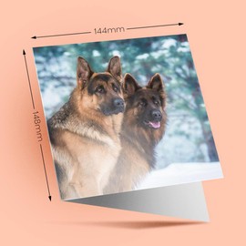 1 x Greeting Card German Shepherd Dog Alsatian Winter - Blank Birthday Celebration Anniversary #15520