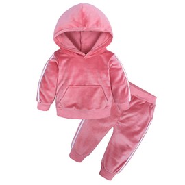 Baby Kids Winter Clothing Sets Warm Outfits Little Girls Tracksuit Sweatshirt+Sweatpants 18-24 Months