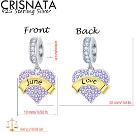 CRISNATA Jan-Dec 12 Month Birthstone Heart Pendant Charms with Clear CZ 925 Sterling Silver 2 Tone Gold Beads Fits European Birthday Bracelet Gifts for Mother/Wife/Dad, Sterling Silver Cubic Zirconia,