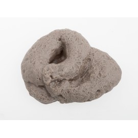 SummitLink Realistic Gross Party Pooper Fake Poo Dog Poop Novelty Toy Brown Birthday Prank Toy Novelty Gift Joke (Gray Hollow)