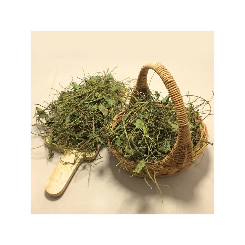 Chamdoori Geumjeoncho 300g (domestic) / 참두리 금전초 300g (국내산)