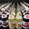 GuS Grown-Up Soda | Lightly Sweetened Sodas with Real Juices
