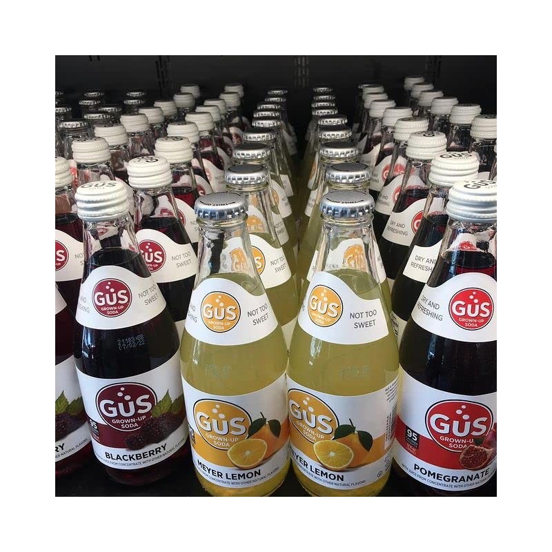 GuS Grown-Up Soda | Lightly Sweetened Sodas with Real Juices