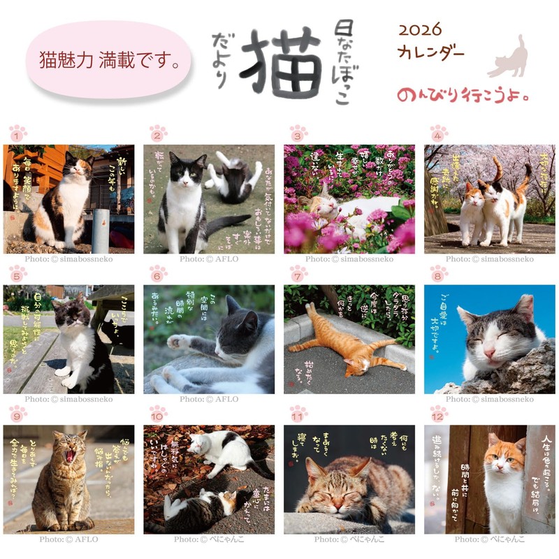 Active Corporation 2026 Calendar Wall-mounted Sunbathing Cat Chronicles 26ACL-04 2026
