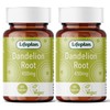 Lifeplan Lifeplan Dandelion Root 450mg 2 x 60 Capsules