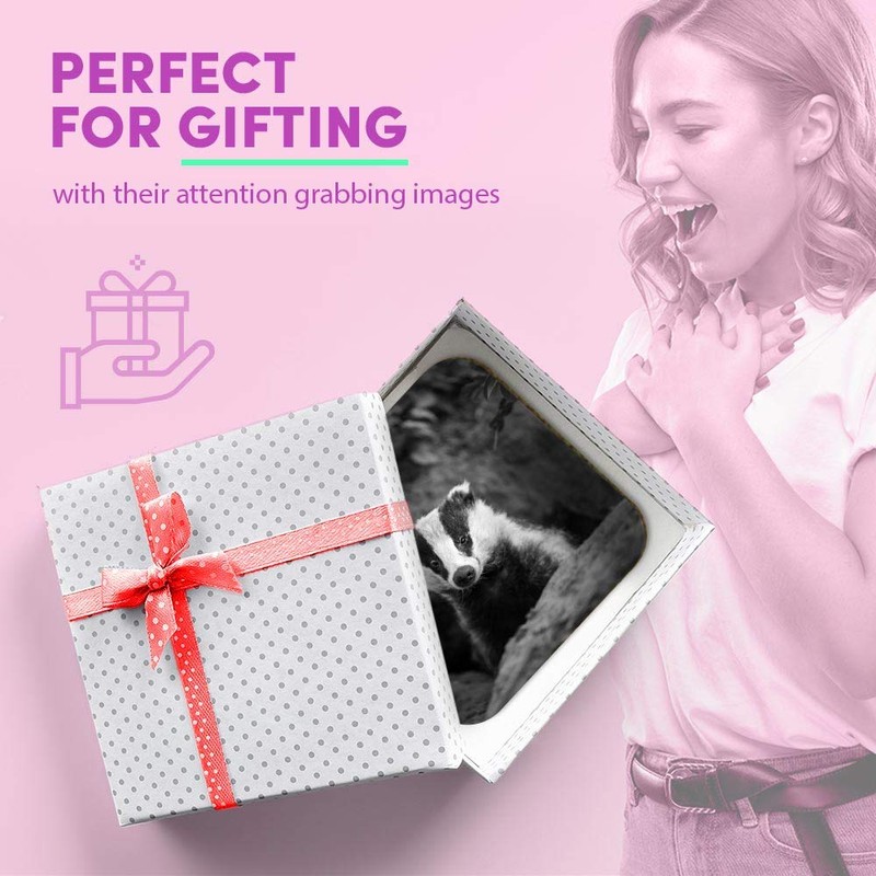 1 x Square MDF Fridge Magnet - Badger Sett Wildlife