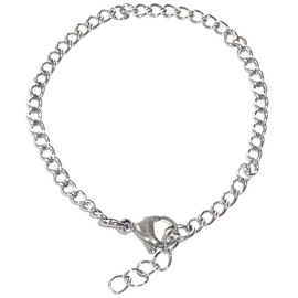 Hidden Hollow Beads Clip On Charm, Bag, Purse, Handbag, Message, Keychain, Zipper Pull, Bracelets, Necklaces, Jewelry (Charm Bracelet With Bonus Crystal Charm)