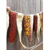 TomorrowSeeds - Fiesta Ornamental Corn Seeds (Treated Seed) - 1/2