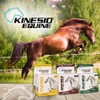 Kinesio Equine Tape - Tex Gold FP Horse Tape -Tape