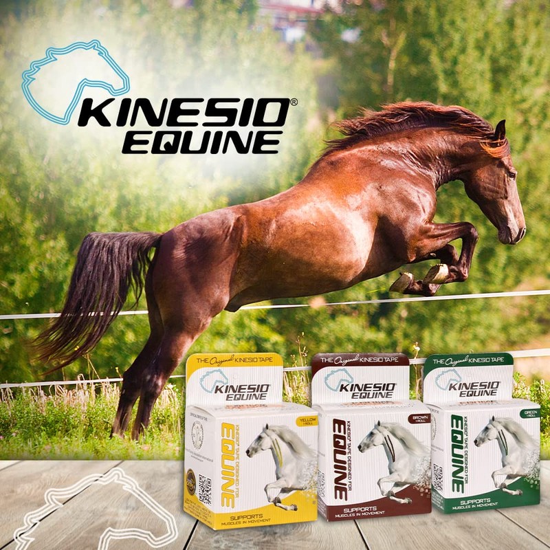 Kinesio Equine Tape - Tex Gold FP Horse Tape -Tape