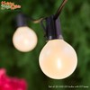 Holiday Bright Lights Belle Luci G50 Replacement Bulbs, 25PC Dimmable