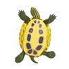 Safari Ltd. Red-Eared Slider Turtle Figurine - Realistic 5.25" Model