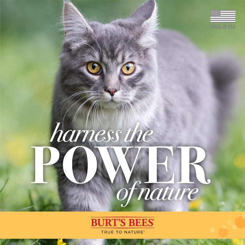 Burt's Bees for Cats Hypoallergenic Shampoo With Shea Butter &