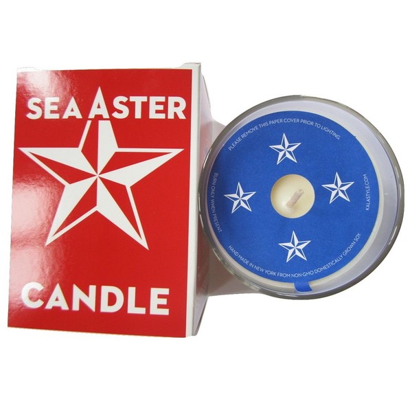 Swedish Dream Sea Aster Candle, 10 oz
