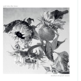 Mother-of-Pearl Moon