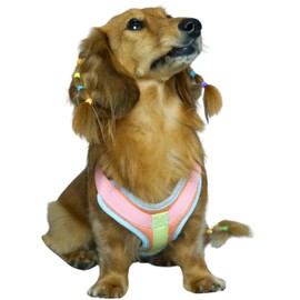 Blueberry Pet Vibrant Mesh Padded Ultra Cool Lightweight Dog Harness Vest in Coral, Medium, Neck 17¾", Chest 20"~24¾"