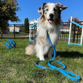 PACKT - Endeavor X3 Waterproof Dog Collar | Made in USA, Odor Proof, 100% Waterproof | Leather-Like Biothane Dog Collar |Rust-proof Stainless Steel Hardware | 2-Year Chew-Warranty | Pacific-Small