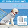 SlowTon Dog Cooling Vest with Handle - Pocket for Ice