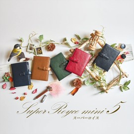 Raymay Fujii DPM3037B Da Vinci Standard Personal Organizer, Mini 5 Size, 0.4 inch (11 mm) Ring, Black