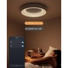 Annaror Smart LED Ceiling Light WiFi, 11in RGB Flush Mount