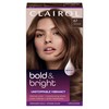Clairol Bold & Bright Permanent Hair Dye, 67 Chocolate Hair