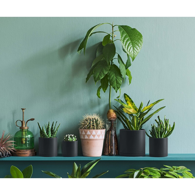 D'vine Dev 6 Pack 4 Inch Modern Plastic Plant Pots,