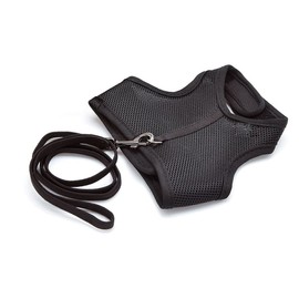 Hypeety Rabbit Kitten Harness Cat Leash for Small Animal Adjustable Soft Harness and Lead Set for Bunny Cat Little Pet Walking (L:Chest(7.87"-12.6"), Black)