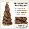 P27/30 French Curly Braiding Hair, Pre Stretched Crochet Hair