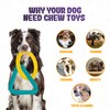 LEE BONBON Tug of War Dog Toy – Interactive Toy