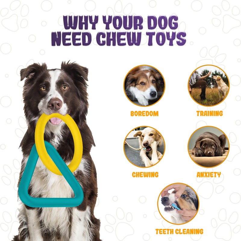 LEE BONBON Tug of War Dog Toy – Interactive Toy