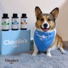 Claudio's Shampoo Perros Piel Sensible. 500 ml