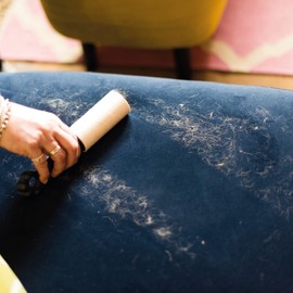 Korbond Pet Lint Roller- Pack of 3-99 Sticky Sheets in Total - Citrus Scented Adhestive Sheets - Suitable for all Fabric Types, Blue