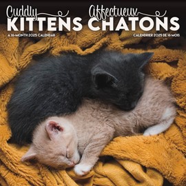 2025 Cuddly Kittens Wall Calendar (Bilingual French) (English and French Edition)