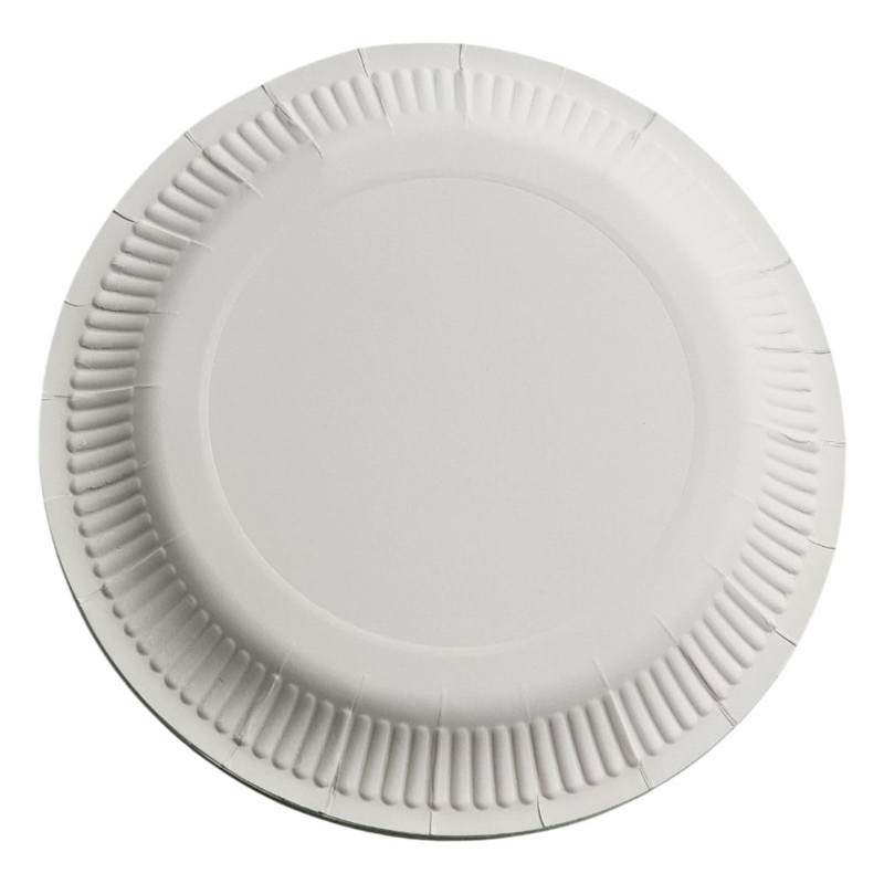 Pastel Round Paper Plates – 10 Pack – 23cm Disposable
