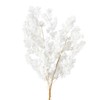 Earth Farms Preserved miriokuradasu # Green do000160 – 700 
