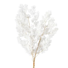 Earth Farms Preserved miriokuradasu # Green do000160 – 700 