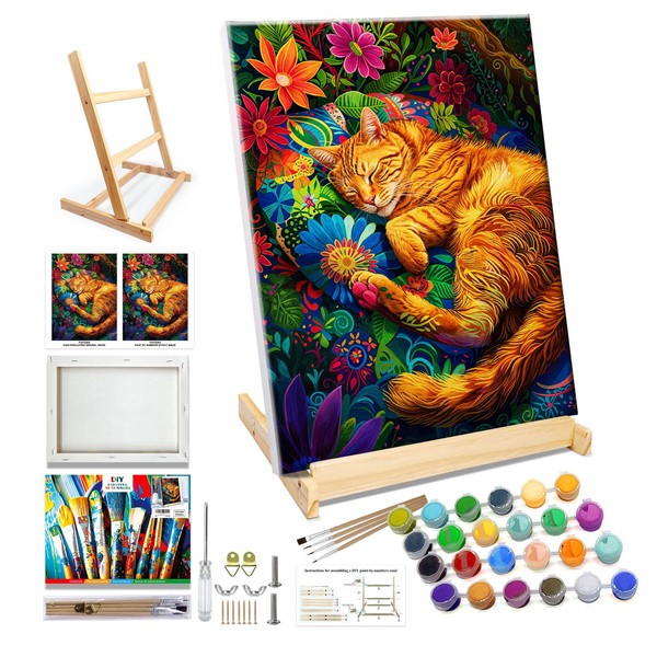 JOOZ Cat Paint by Numbers Kit for Adults with Frame