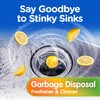 Compac Home Plink Garbage Disposal Cleaner and Deodorizer 60ct VALUE