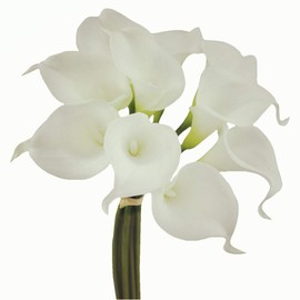 Angel Isabella Real Touch Calla Lily Artificial Flowers — Perfect for a Wedding, Prom, Christmas or Home Decor — Great as a Boutonniere, Corsage or Centerpiece - 10 Stems, Ivory