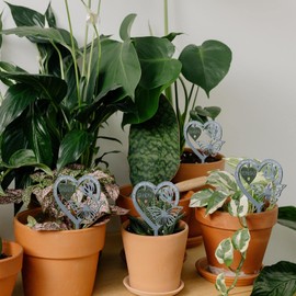 Memorial Plaque Heart Shaped Butterfly Ornament, Weatherproof Inserted Garden Stakes Yard Sign,Your Wing Were Ready, But Our Heart Were Not for Mom, Dad, Best Friend, Husband, Memorial Gift (Dad)