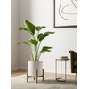 LE TAUCI Ceramic Pots for Plants, 10+8+6 Inch Indoor Plant