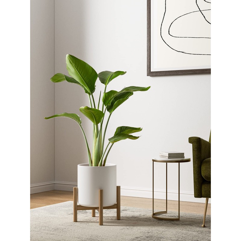 LE TAUCI Ceramic Pots for Plants, 10+8+6 Inch Indoor Plant