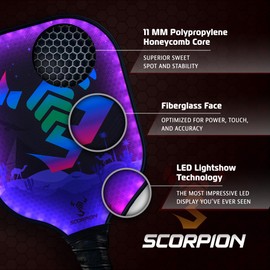 SCORPION Pioneer Plus Pickleball Paddles Set Of 2 - Lightweight Paddles with Bright LED Edge Lighting, Fiberglass Face, 11mm PP Honeycomb Core - Carrying Bag, Racket Covers, Wrist Sweat Bands, 4 Balls