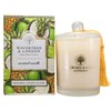 Wavertree & London Organic Pineapple Coconut Lime Scent Soy Wax