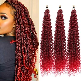 3X Passion Twist Crochet Braids Hair Pre-Separated Synthetic Curly Braiding Hair 24 Inch 3 Packs Pre-twisted Passion Twist Braiding Hair Pre Looped Crochet Braids for Black Women(24INCH,1BRed)
