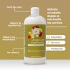 Acondicionador Con Vinagre De Manzana Productos Mart Mexico 500 Ml